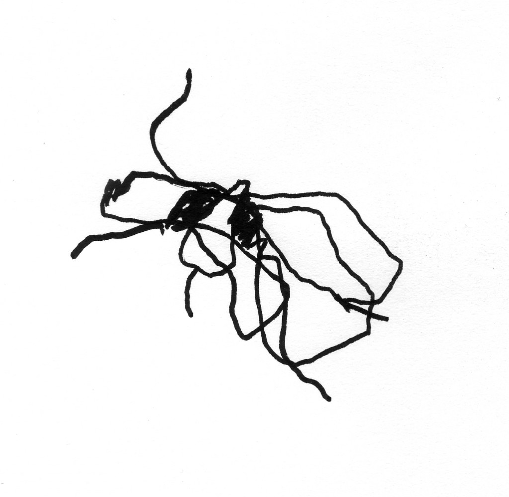 flies004