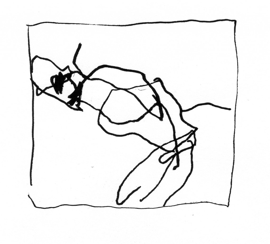 flies005
