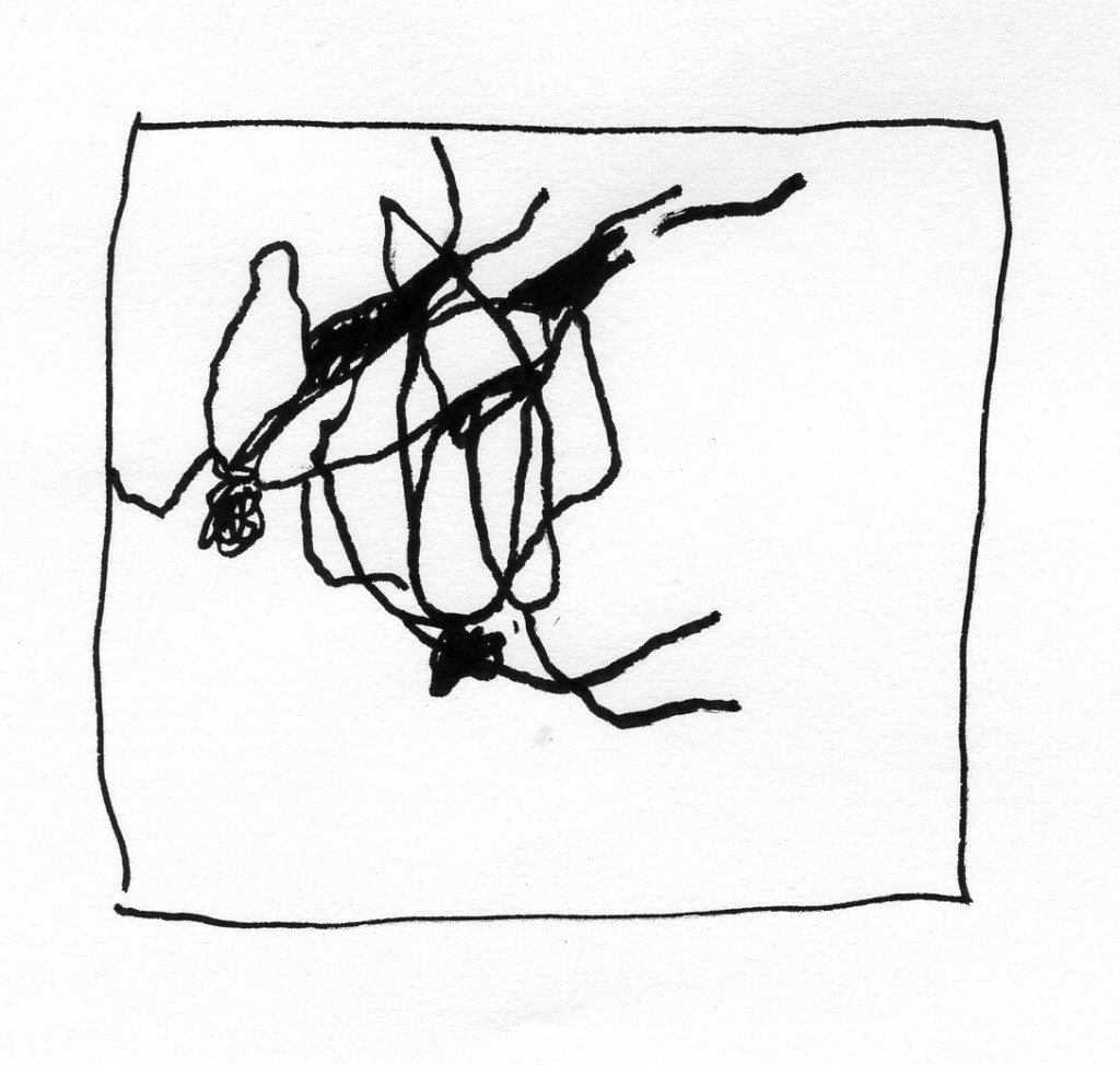 flies006