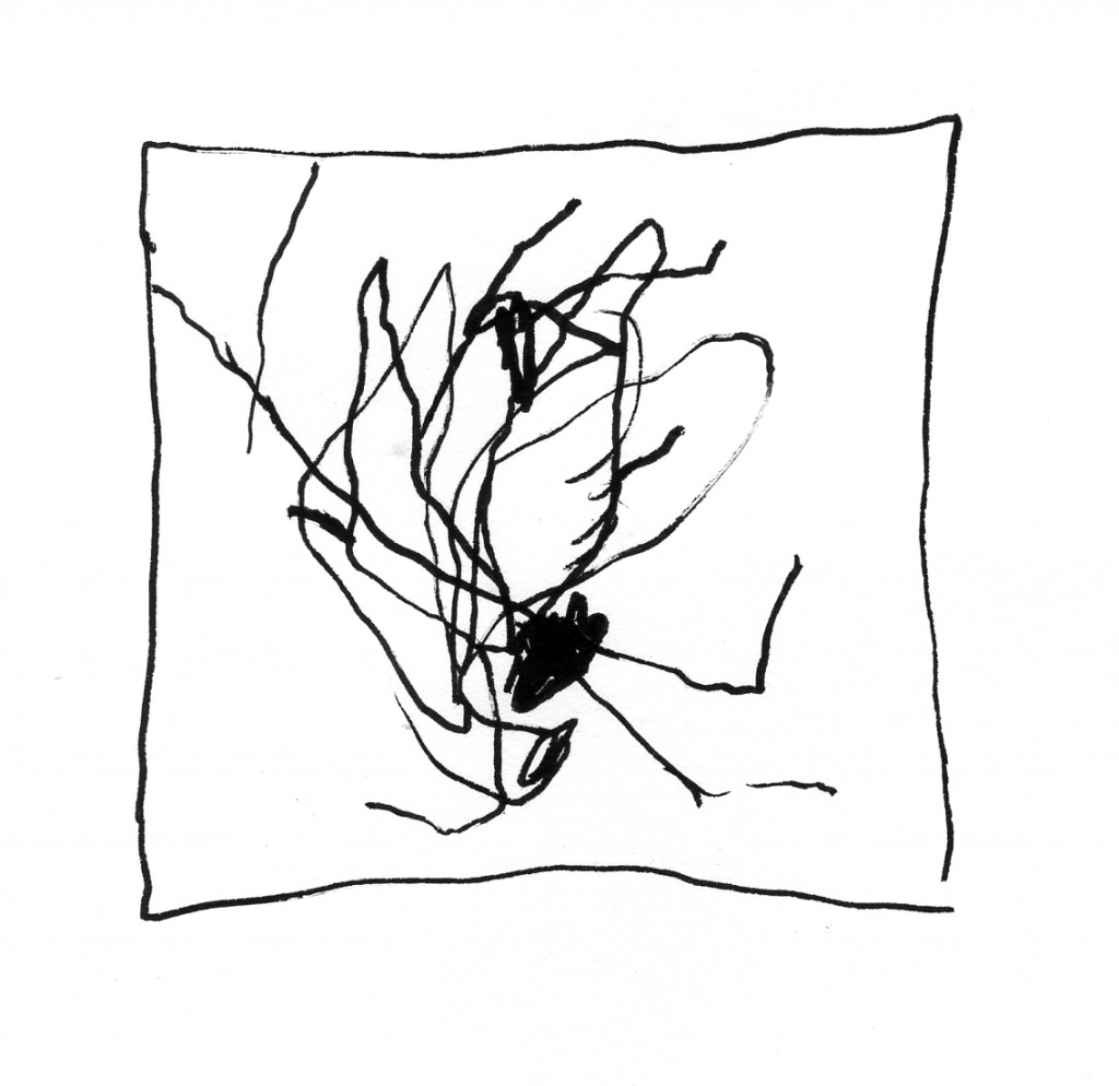 flies007