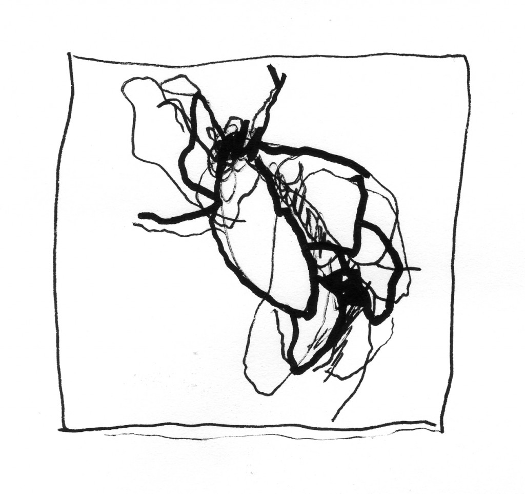 flies008