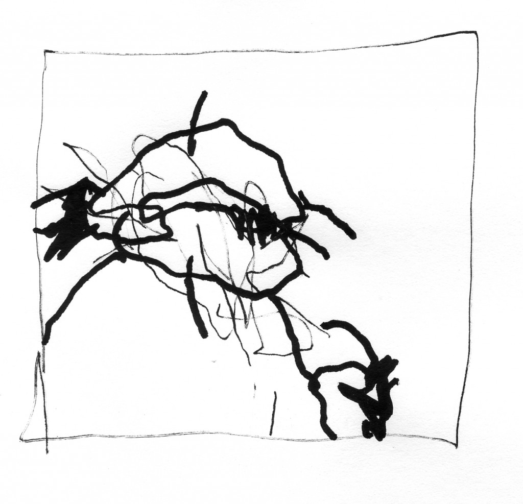 flies010