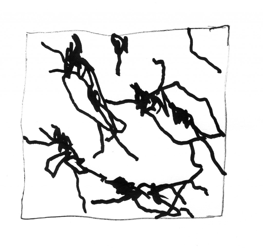 flies011