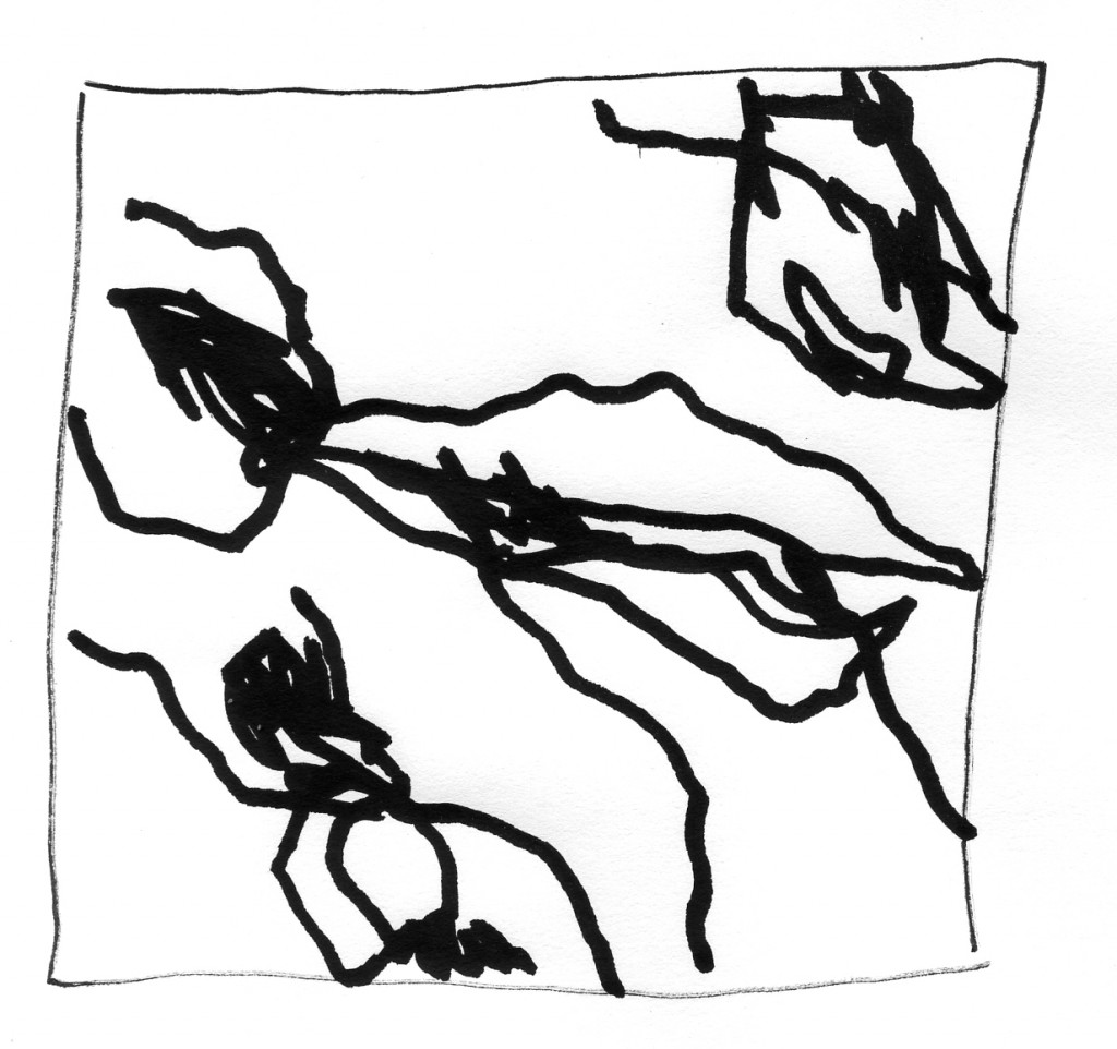 flies012