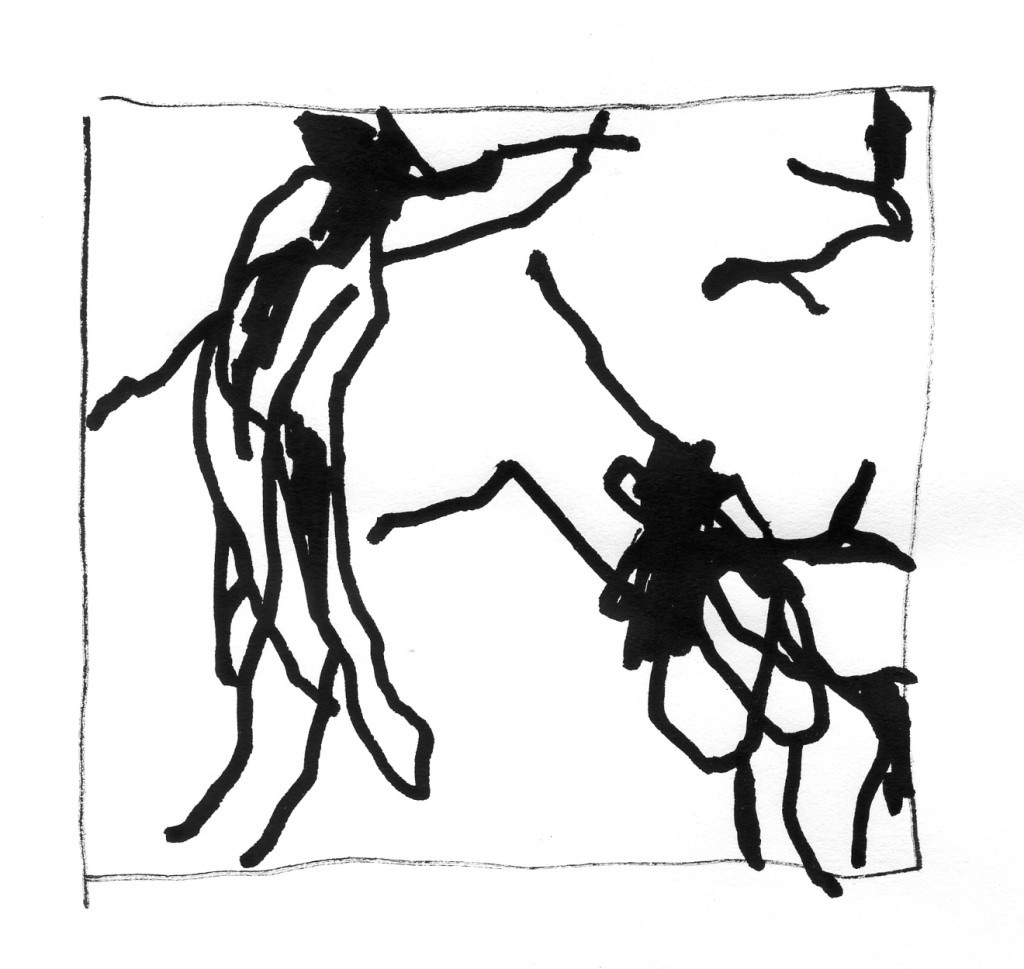 flies013