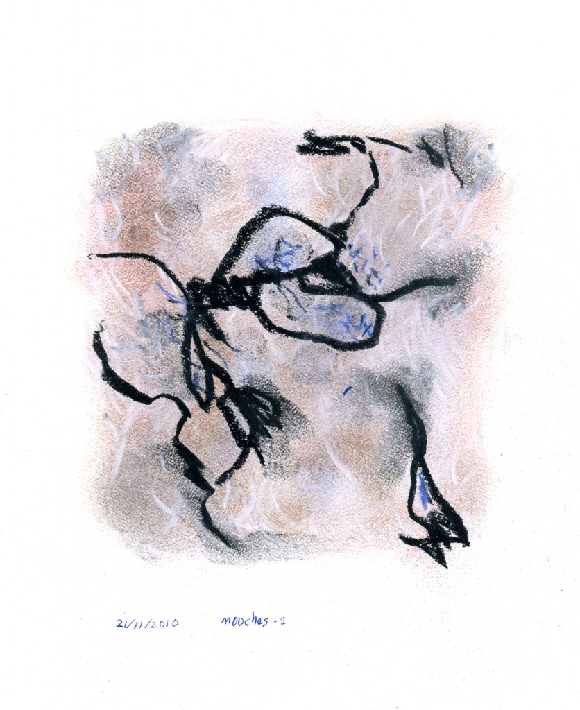 mouches001b
