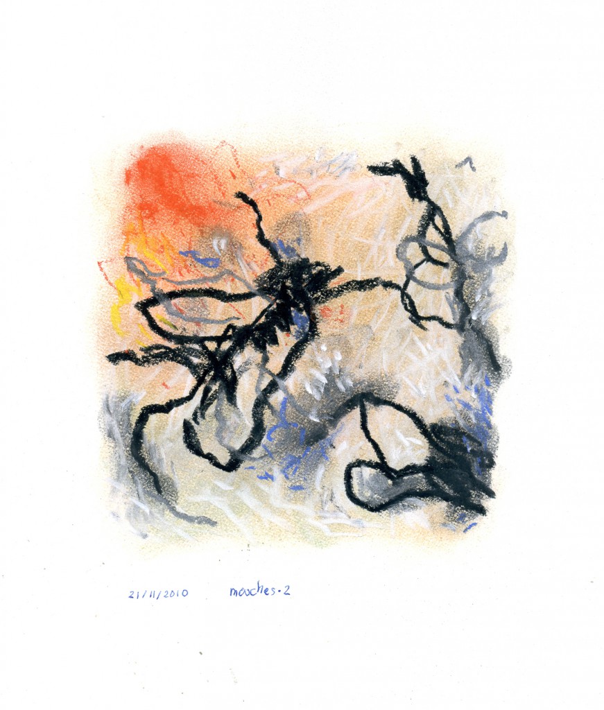 mouches002b