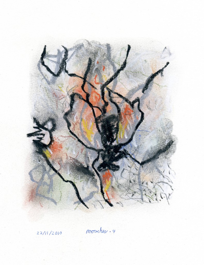 mouches004b