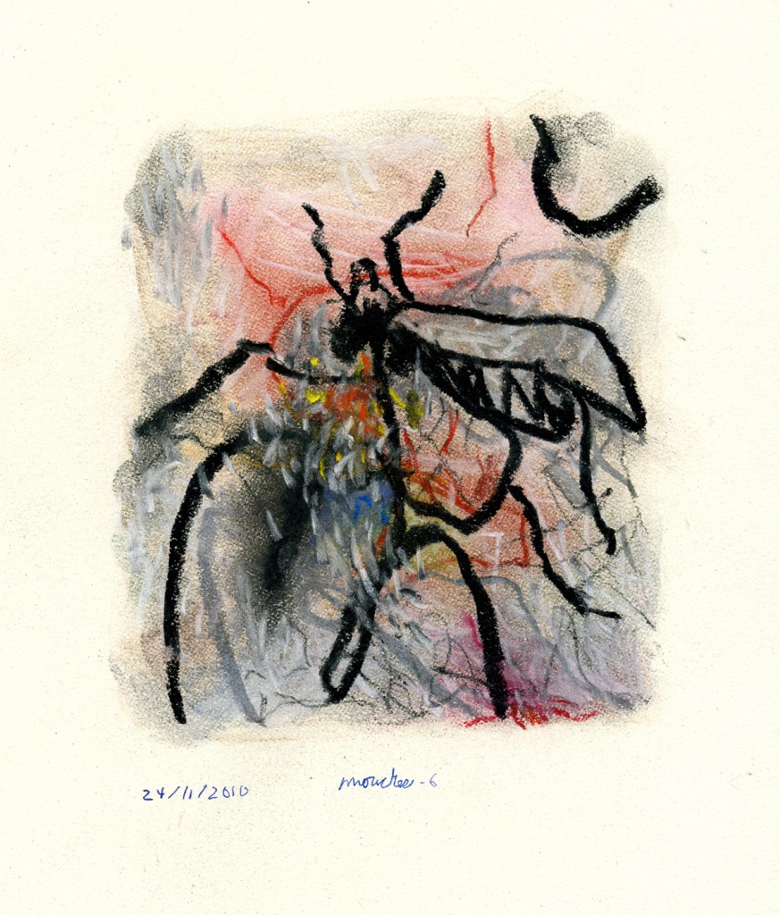 mouches006b