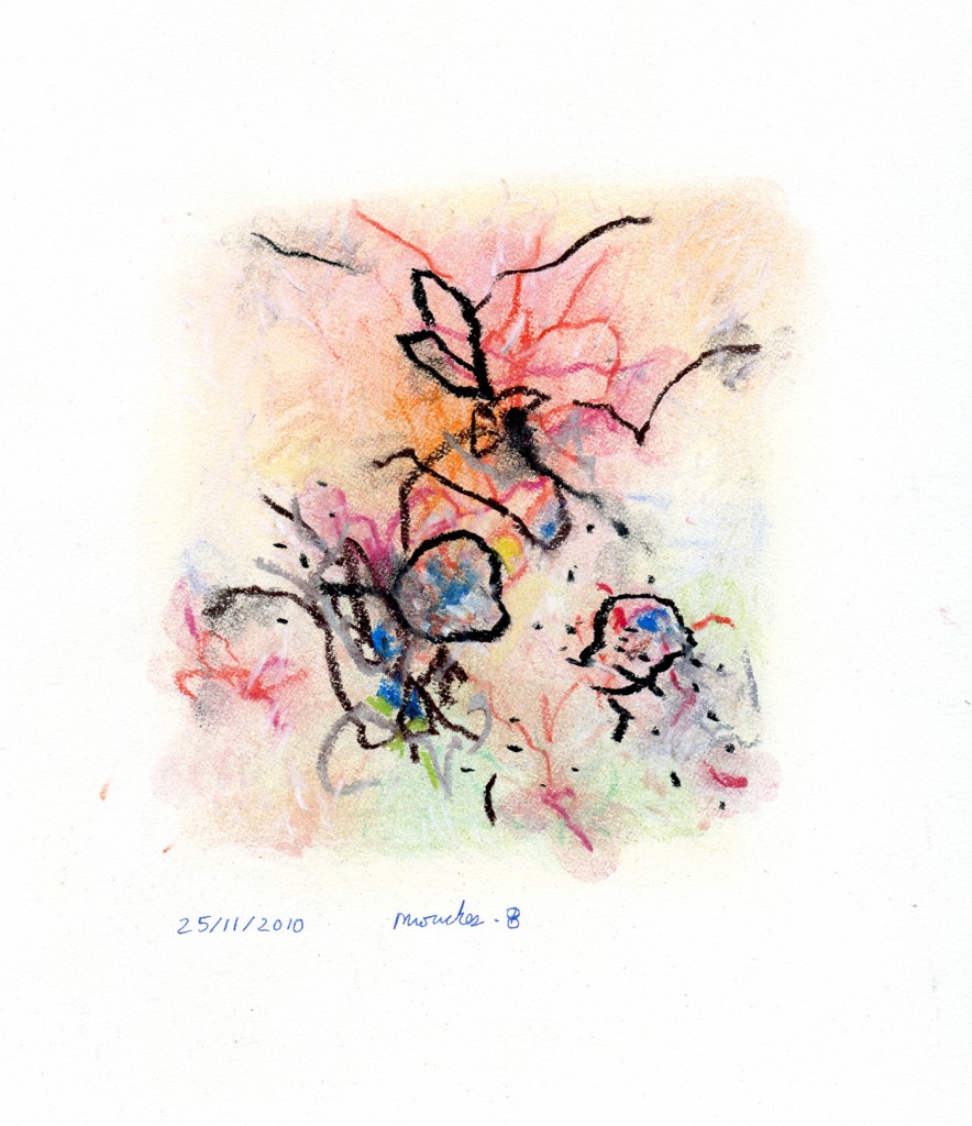 mouches008b