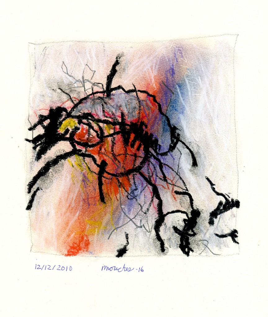 mouches016b