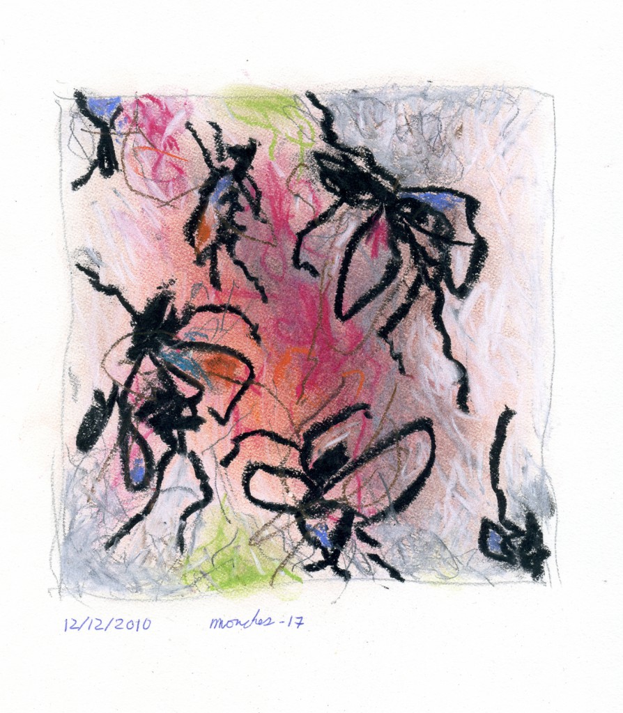 mouches017b