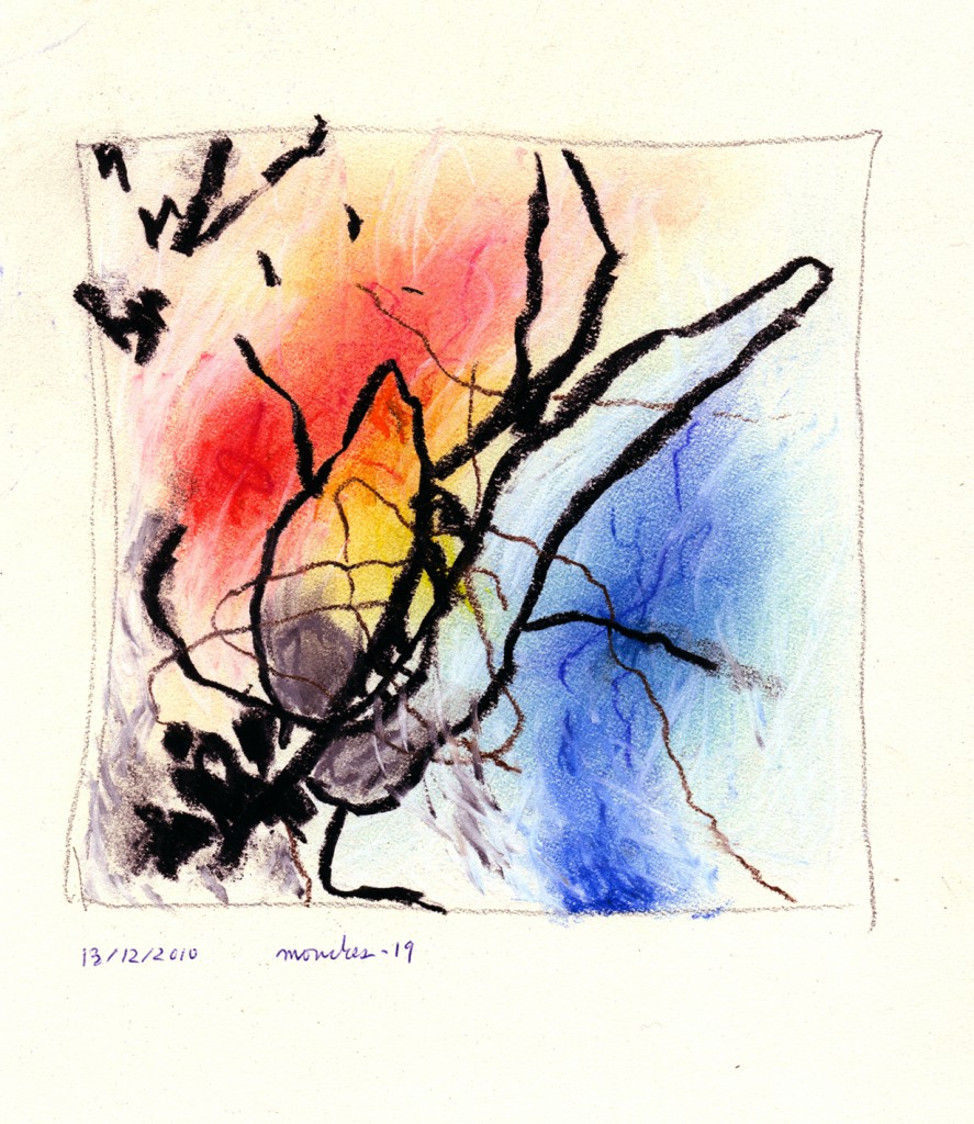 mouches019b