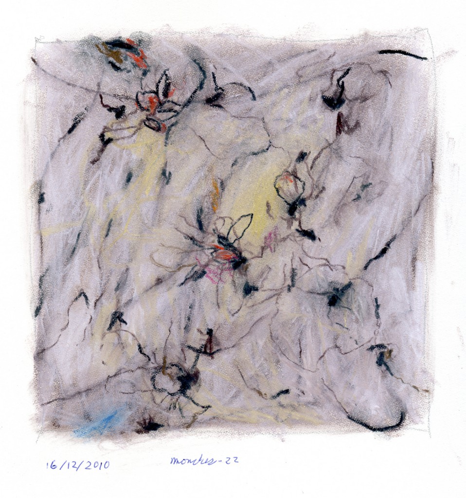 mouches022b