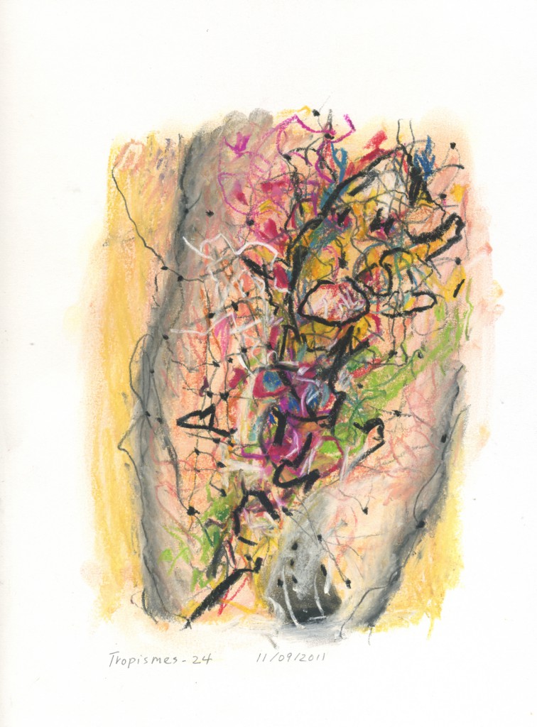 tropismes024a