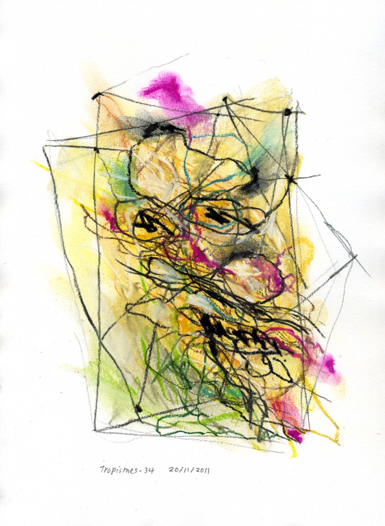 tropismes034a