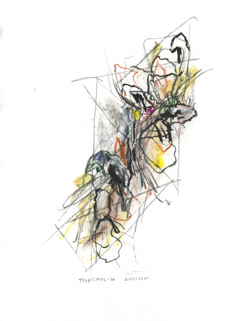 tropismes036a