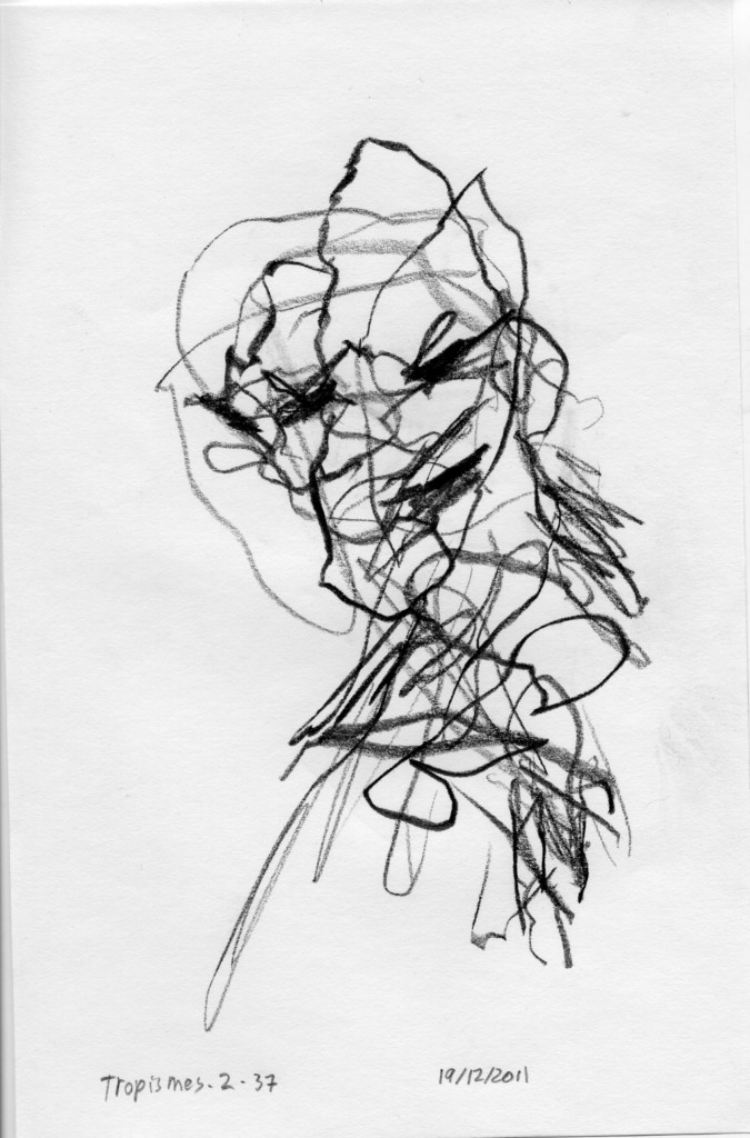 tropismes037