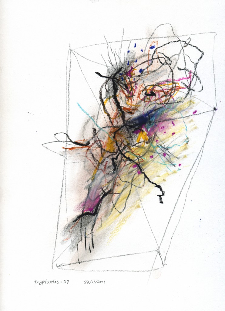 tropismes037a