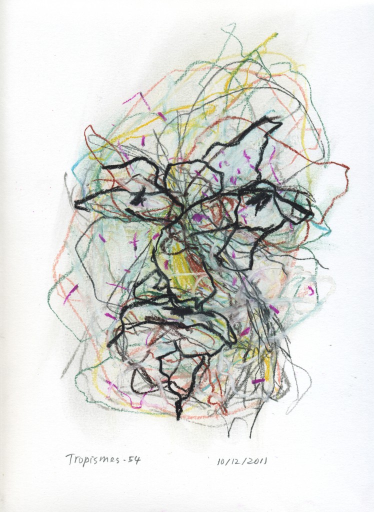 tropismes054a