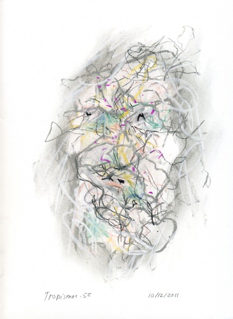 tropismes055a