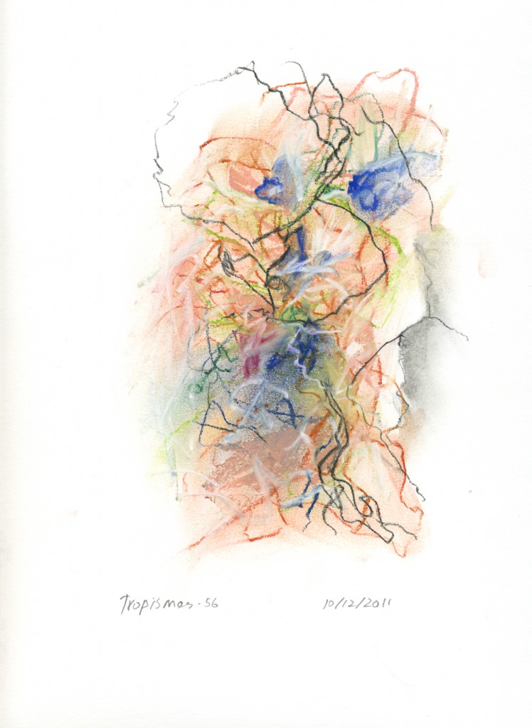 tropismes056a