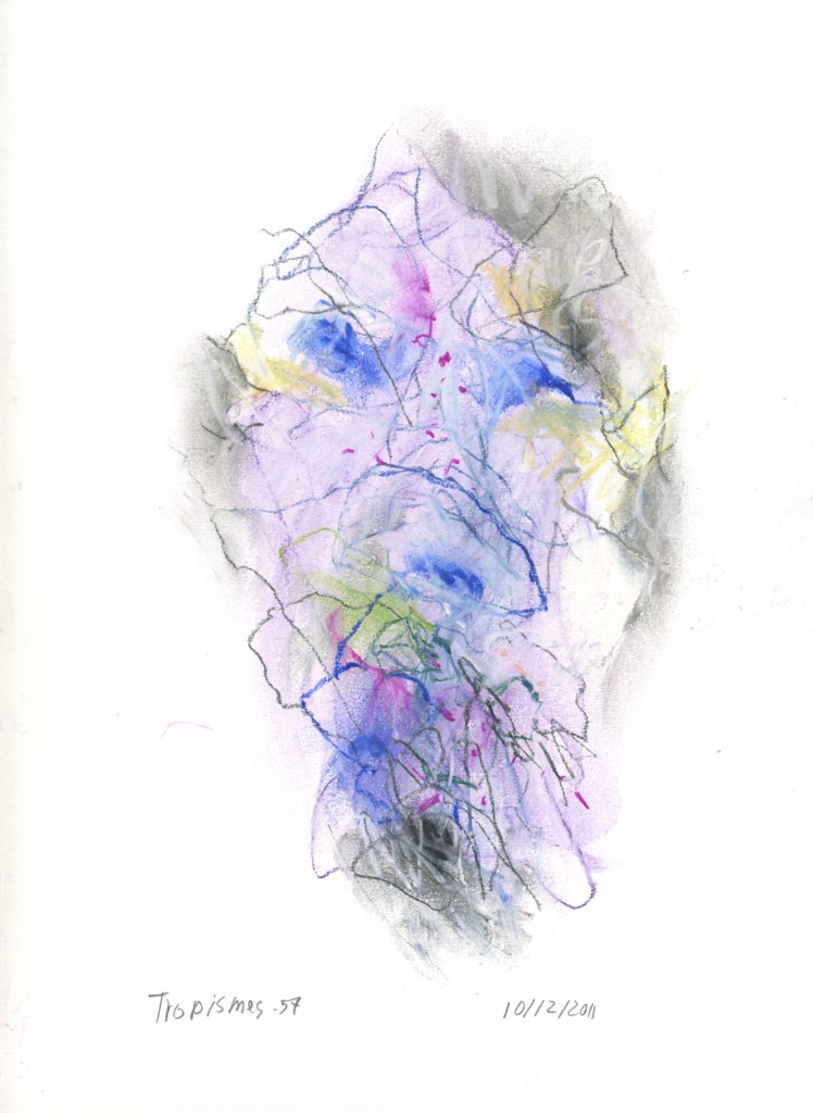 tropismes057a