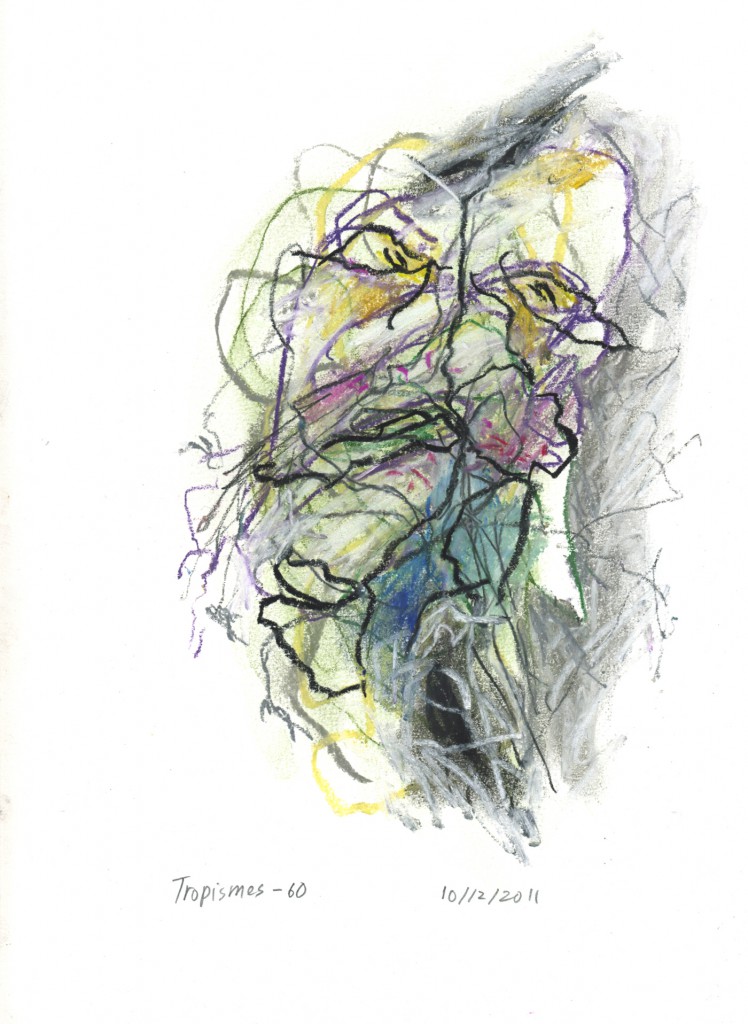 tropismes060a