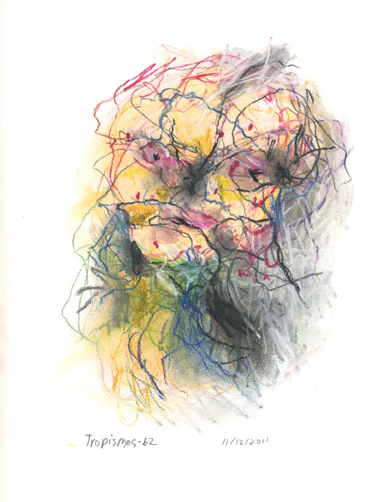tropismes062a