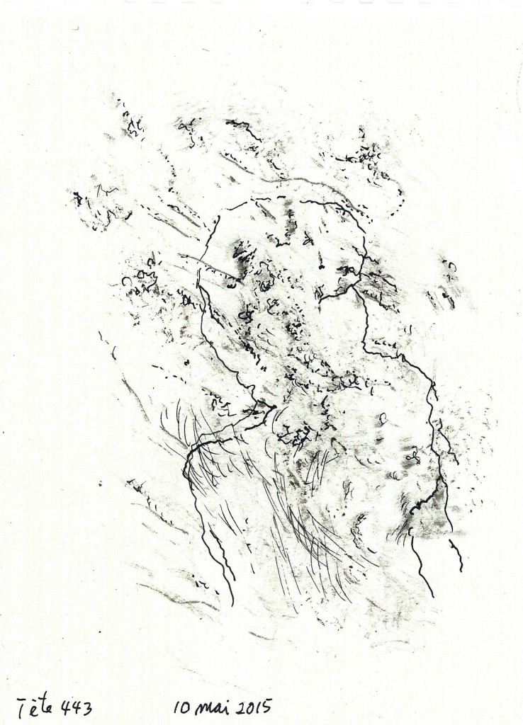 head-443*