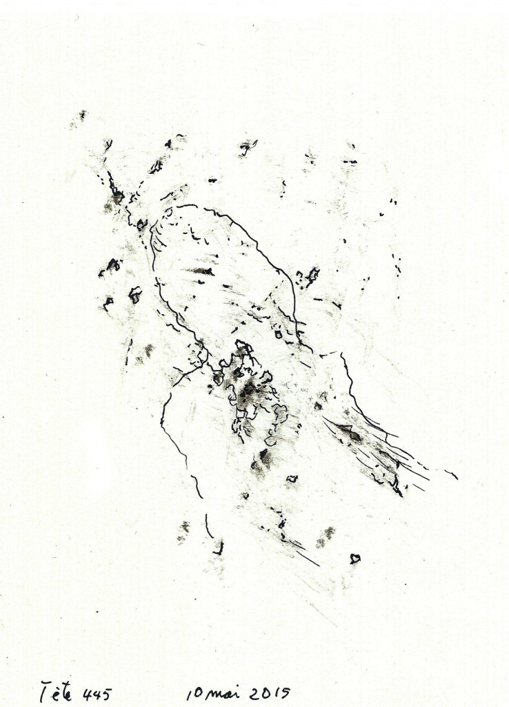 head-445*