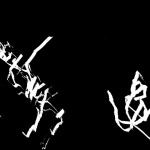 Sequence 01.00_39_26-a