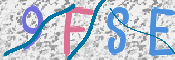 Image Anti-spam