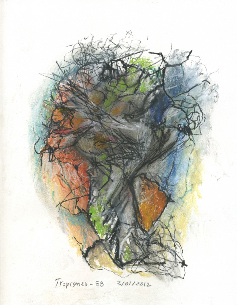 Tropismes088a