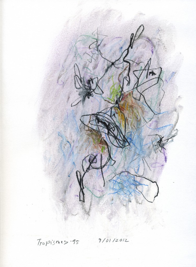Tropismes095a