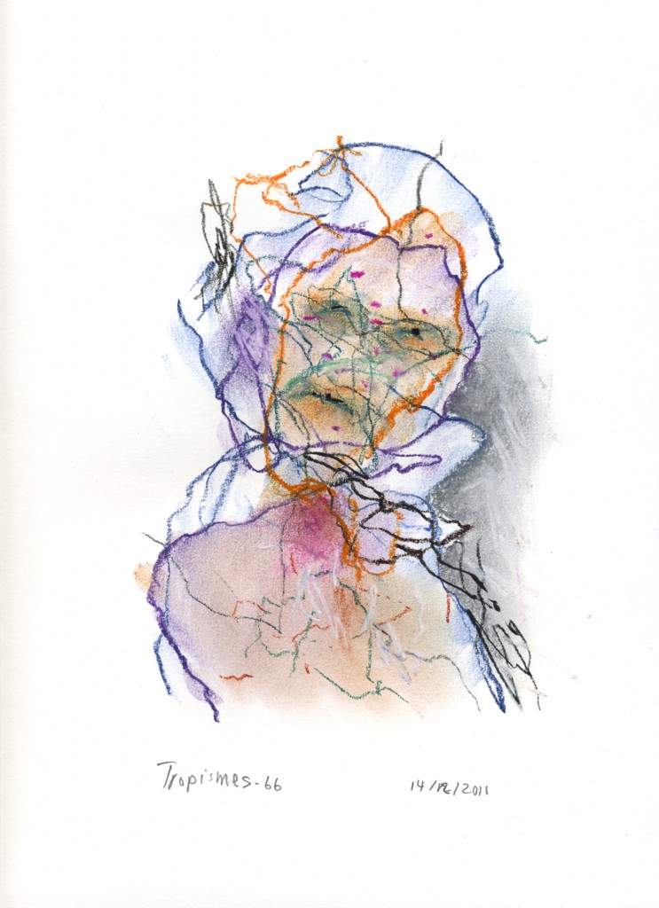 tropismes066a