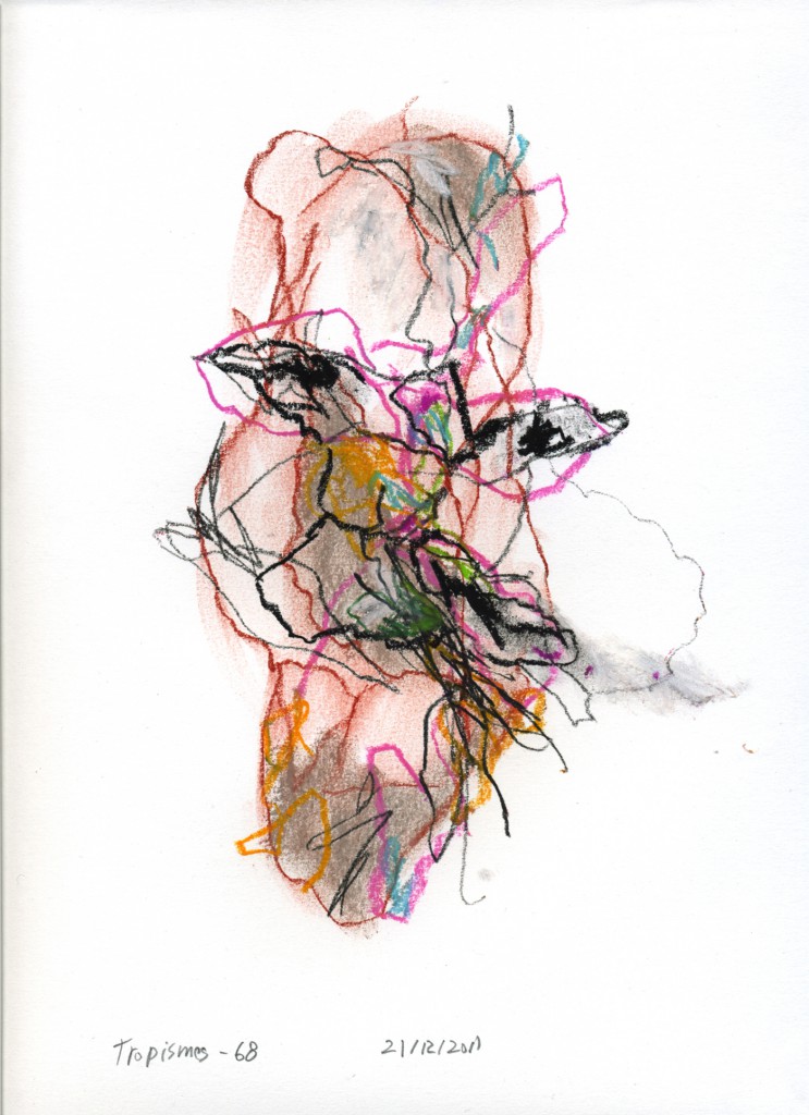 tropismes068a
