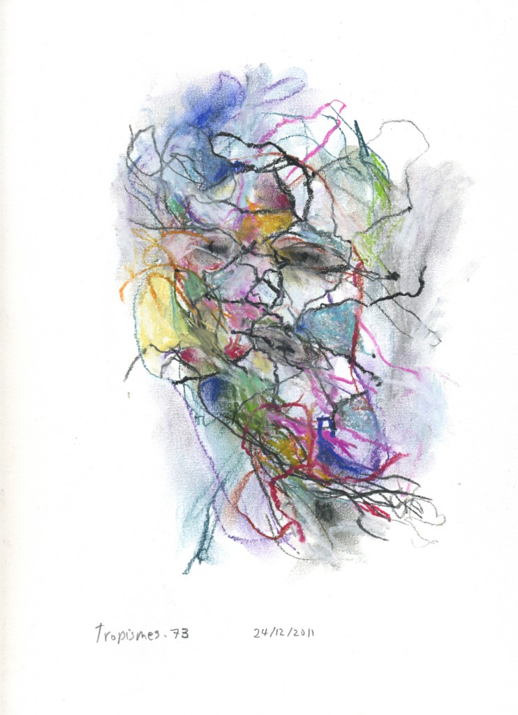 tropismes073a