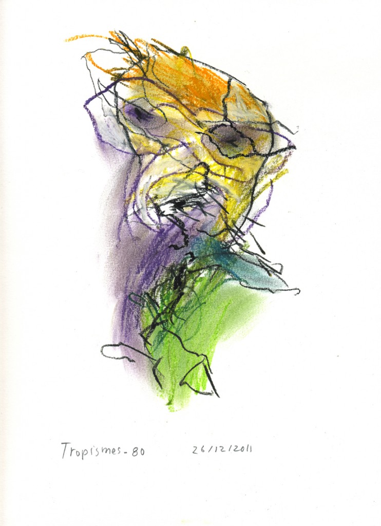 tropismes080a